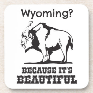 Wyoming? Because It's Beautiful Coaster