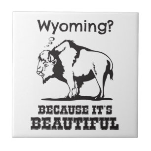 Wyoming? Because It's Beautiful Tile