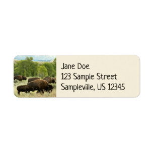 Wyoming Bison