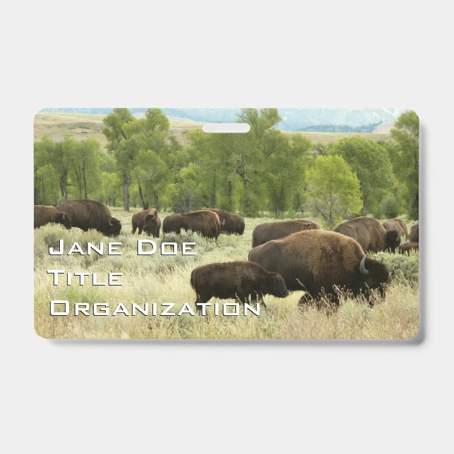 Wyoming Bison ID Badge (Front)