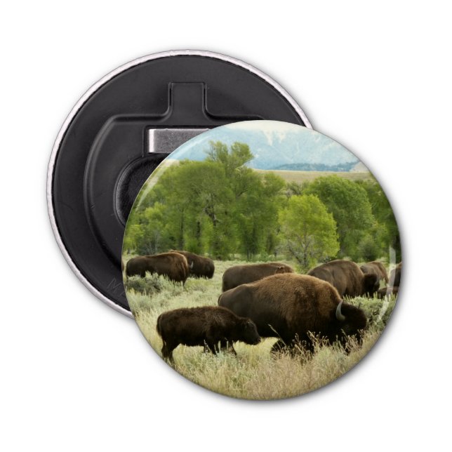 Wyoming Bison Nature Animal Photography Bottle Opener (Front)