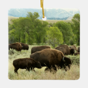 Wyoming Bison Nature Animal Photography Ceramic Tree Decoration
