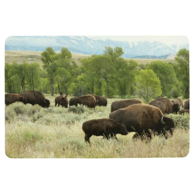 Wyoming Bison Nature Animal Photography Floor Mat (Front)
