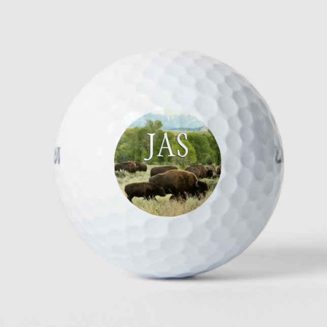 Wyoming Bison Nature Animal Photography Golf Balls (Front)