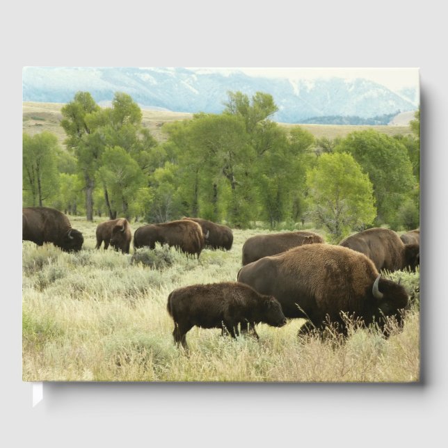 Wyoming Bison Nature Animal Photography Guest Book (Front)