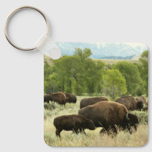 Wyoming Bison Nature Animal Photography Key Ring