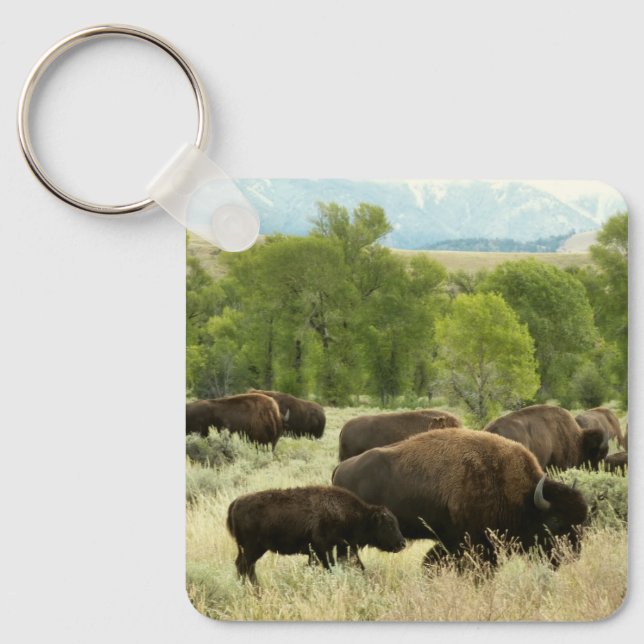 Wyoming Bison Nature Animal Photography Key Ring (Front)