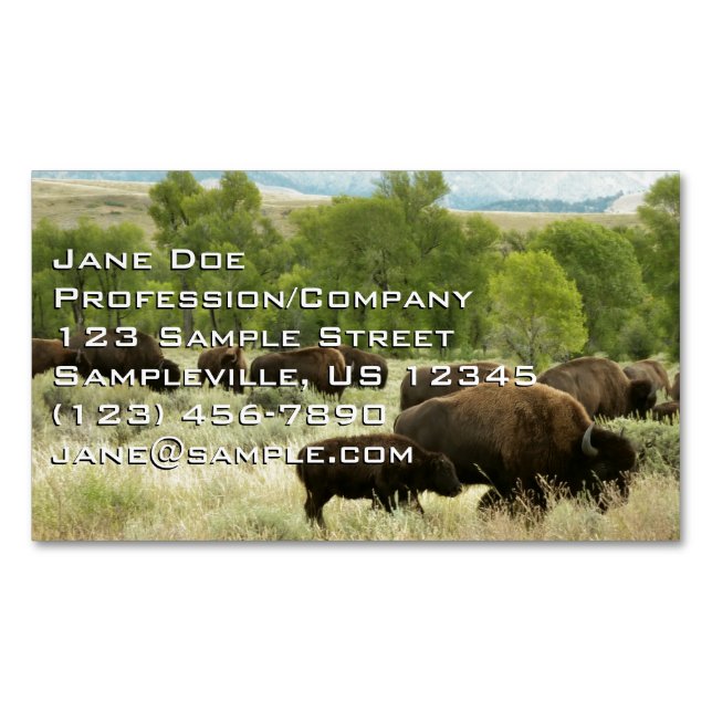 Wyoming Bison Nature Animal Photography Magnetic Business Card (Front)