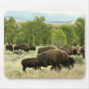 Wyoming Bison Nature Animal Photography Mouse Mat
