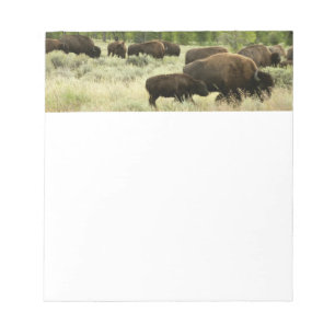 Wyoming Bison Nature Animal Photography Notepad