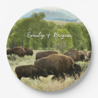 Wyoming Bison Nature Animal Photography Paper Plate