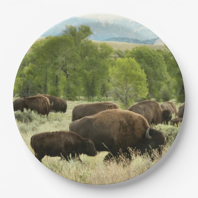 Wyoming Bison Nature Animal Photography Paper Plate (Front)