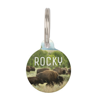 Wyoming Bison Nature Animal Photography Pet Tag