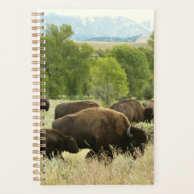 Wyoming Bison Nature Animal Photography Planner (Front)