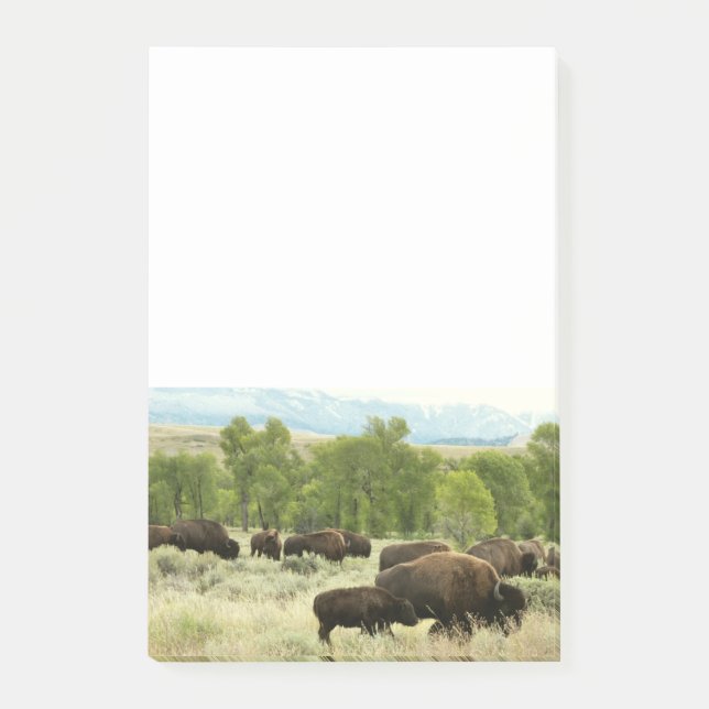 Wyoming Bison Nature Animal Photography Post-it Notes (Front)