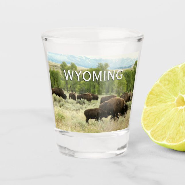 Wyoming Bison Nature Animal Photography Shot Glass (Front)