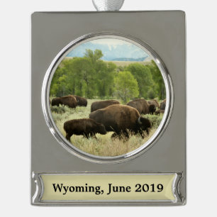 Wyoming Bison Nature Animal Photography Silver Plated Banner Ornament