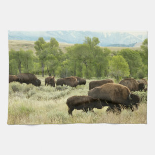 Wyoming Bison Nature Animal Photography Tea Towel