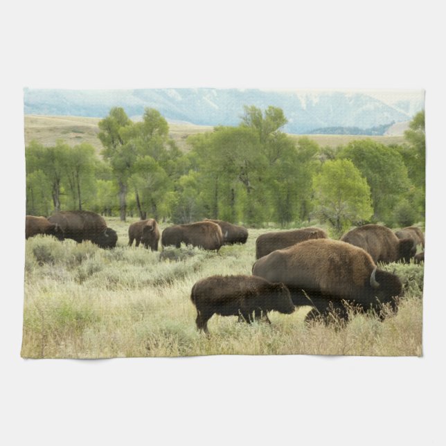 Wyoming Bison Nature Animal Photography Tea Towel (Horizontal)