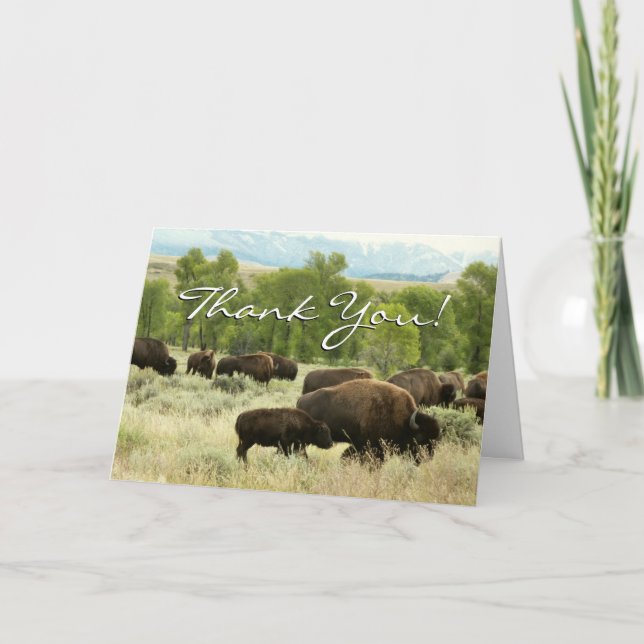 Wyoming Bison Nature Animal Photography Thank You Card (Front)