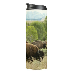 Wyoming Bison Nature Animal Photography Thermal Tumbler
