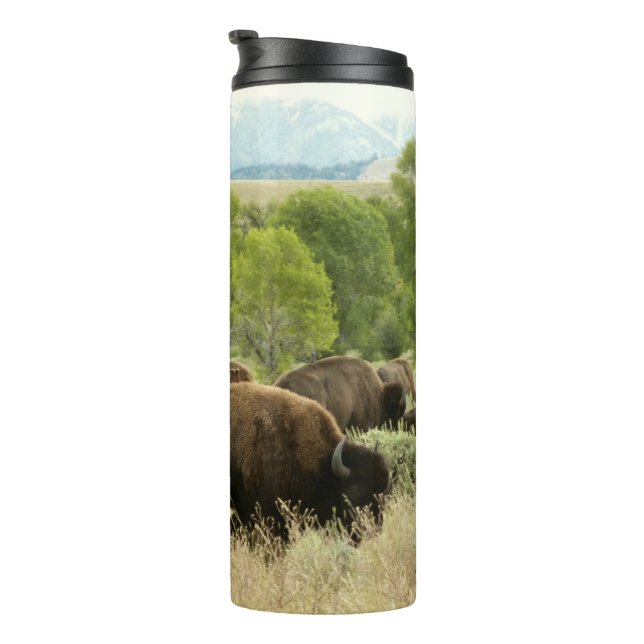 Wyoming Bison Nature Animal Photography Thermal Tumbler (Rotated Right)