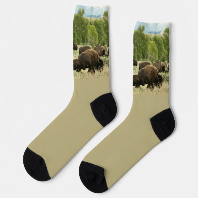 Wyoming Bison Socks (Left)