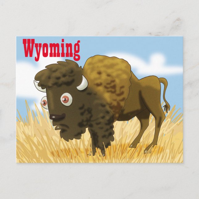 Wyoming Buffalo Postcard (Front)