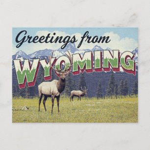 Wyoming Elk Grand Teton Mountains Postcard