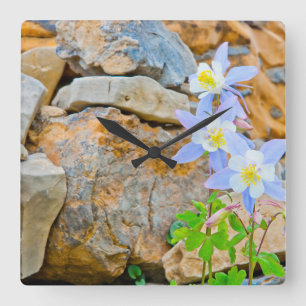 Wyoming, Grand Teton National Park 1 Square Wall Clock