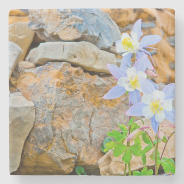 Wyoming, Grand Teton National Park 1 Stone Coaster (Front)