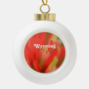 Wyoming Indian Paintbrush Ceramic Ball Christmas Ornament