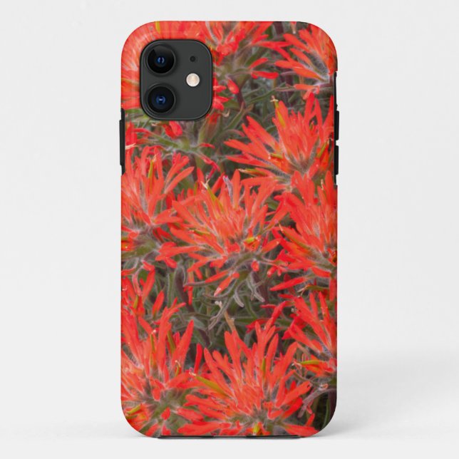 Wyoming, Lincoln County, Desert Paintbrush Case-Mate iPhone Case (Back)