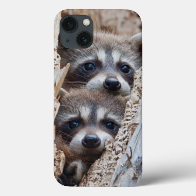 Wyoming, Lincoln County, Raccoon Case-Mate iPhone Case (Back)