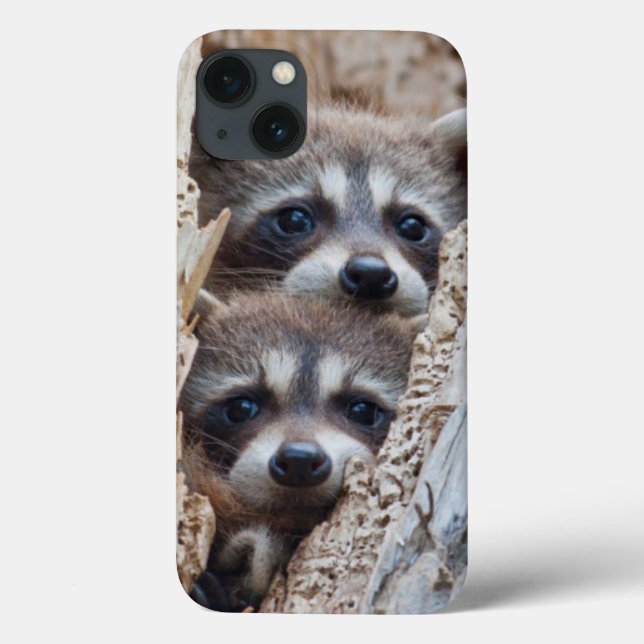 Wyoming, Lincoln County, Raccoon Case-Mate iPhone Case (Back)