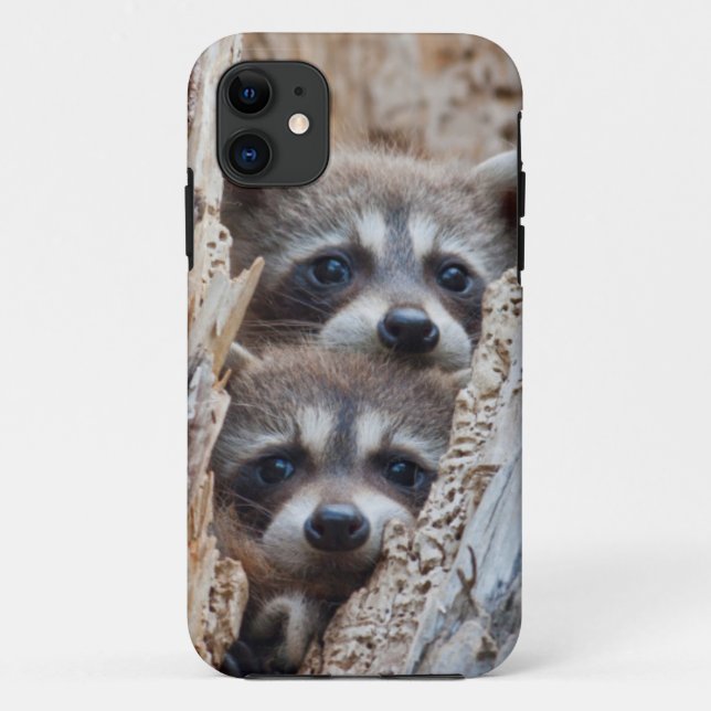 Wyoming, Lincoln County, Racoon Case-Mate iPhone Case (Back)