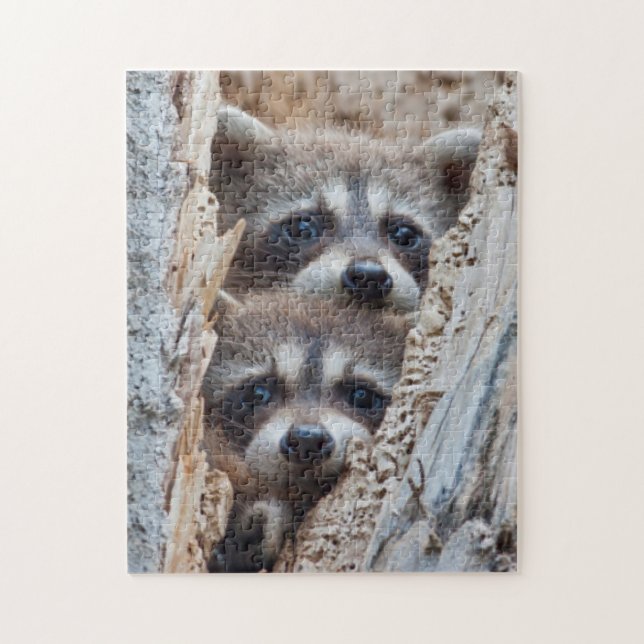 Wyoming, Lincoln County, Racoon Jigsaw Puzzle (Vertical)