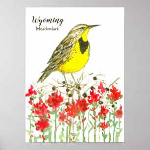 Wyoming Meadowlark Songbird Indian Paintbrush Poster