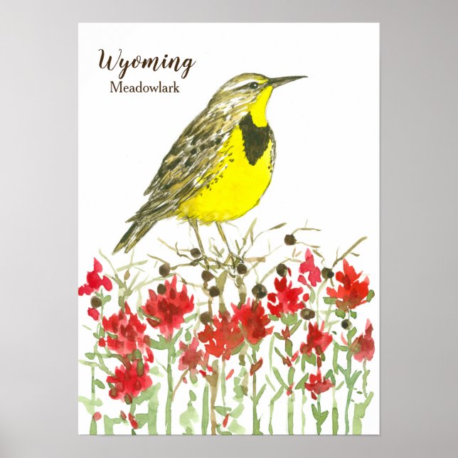 Wyoming Meadowlark Songbird Indian Paintbrush Poster (Front)