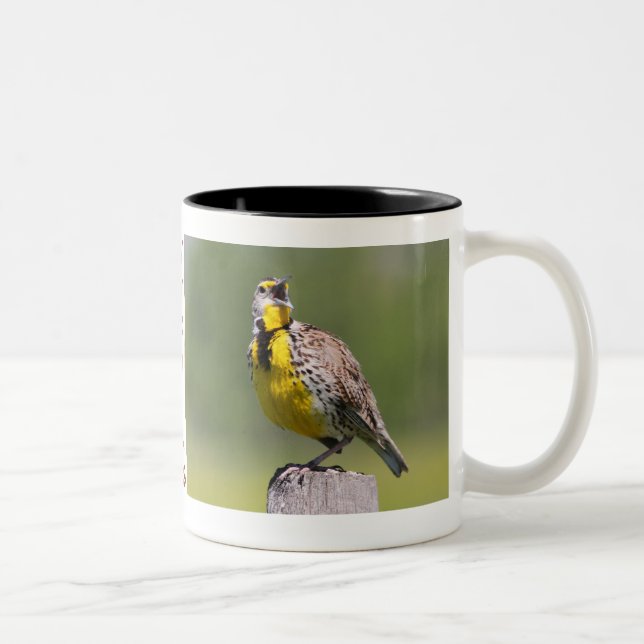 Wyoming Mug-Meadowlark Two-Tone Coffee Mug (Right)