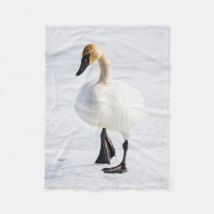 Wyoming, National Elk Refuge, Trumpeter Swan Fleece Blanket