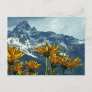 Wyoming Postcard