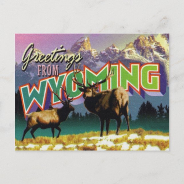 Wyoming Postcard (Front)