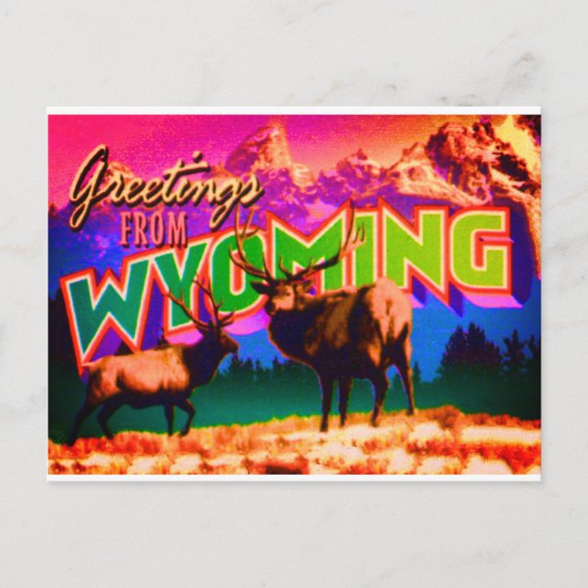 Wyoming Postcard (Front)