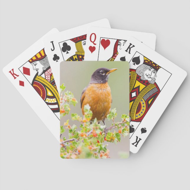 Wyoming, Sublette County, An American Robin Playing Cards (Back)
