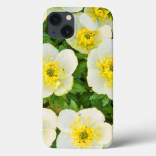 Wyoming, Sublette County, Close-up of a group iPhone 13 Case