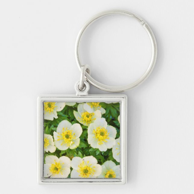 Wyoming, Sublette County, Close-up of a group Key Ring (Front)