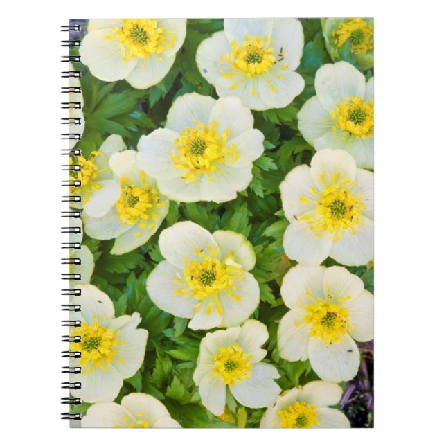 Wyoming, Sublette County, Close-up of a group Notebook (Front)
