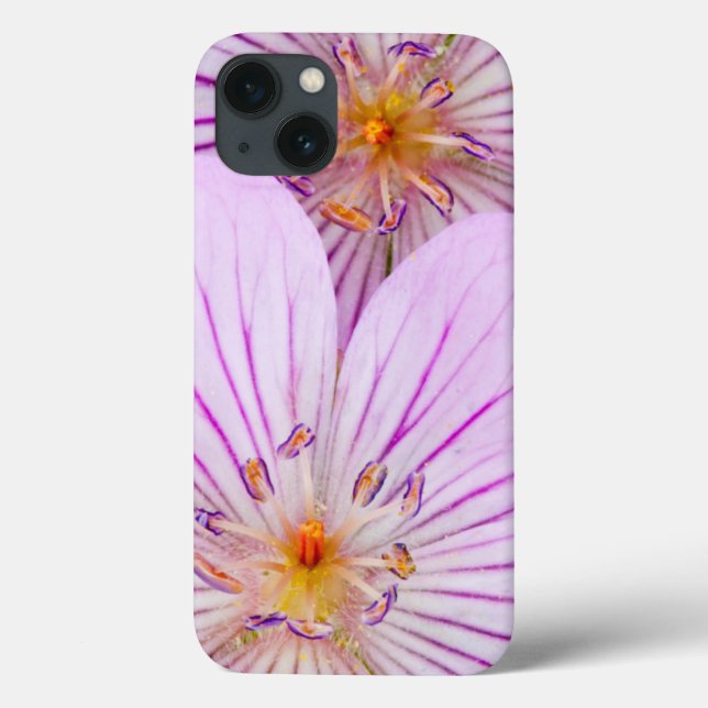 Wyoming, Sublette County, Close-up of two Sticky Case-Mate iPhone Case (Back)