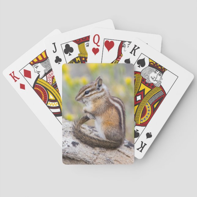 Wyoming, Sublette County, Least Chipmunk Playing Cards (Back)